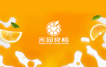 某良橙——攀枝花LOGO设计