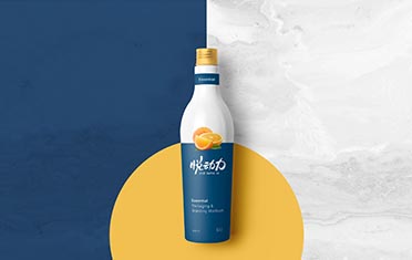 攀枝花某动力 品牌设计